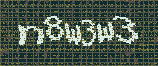 CAPTCHA_picture