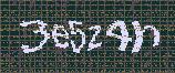 CAPTCHA_picture