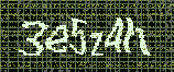 CAPTCHA_picture